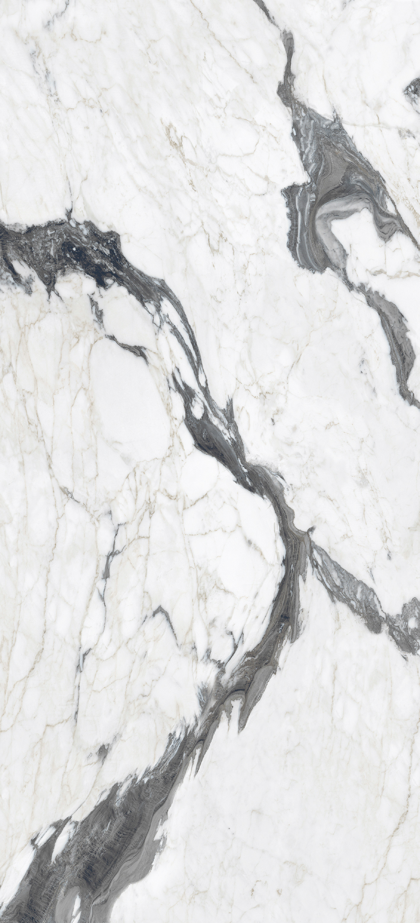 765697 Bijoux Calacatta Altissimo Glossy 6mm 120x280 Rex Ceramiche фото 6