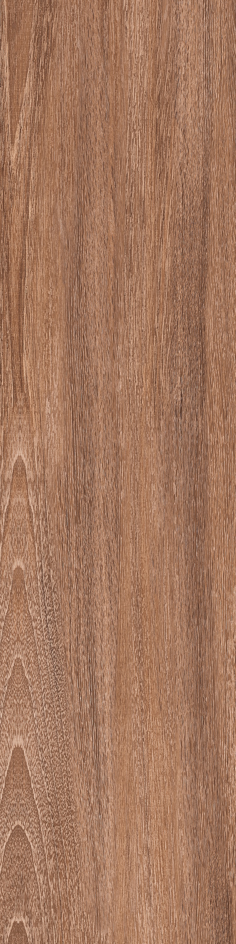 SG701590R Фрегат темно-коричневый обрезной 20х80х9 Kerama Marazzi фото 6