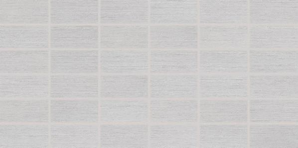 DDMBG623 FASHION grey 30x60 RAKO