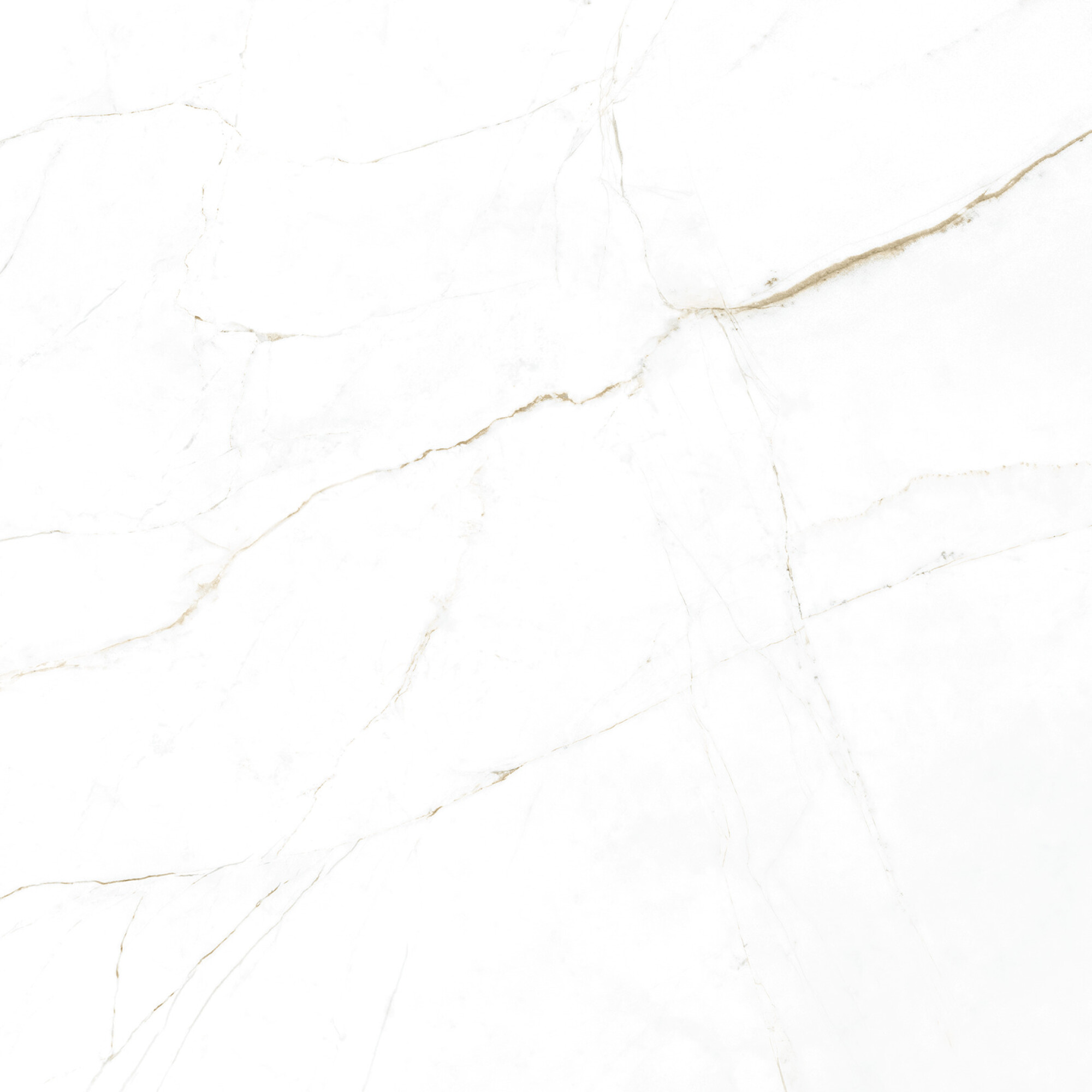 41145 Dual White SP/100x100x0,8/R 100x100 Peronda