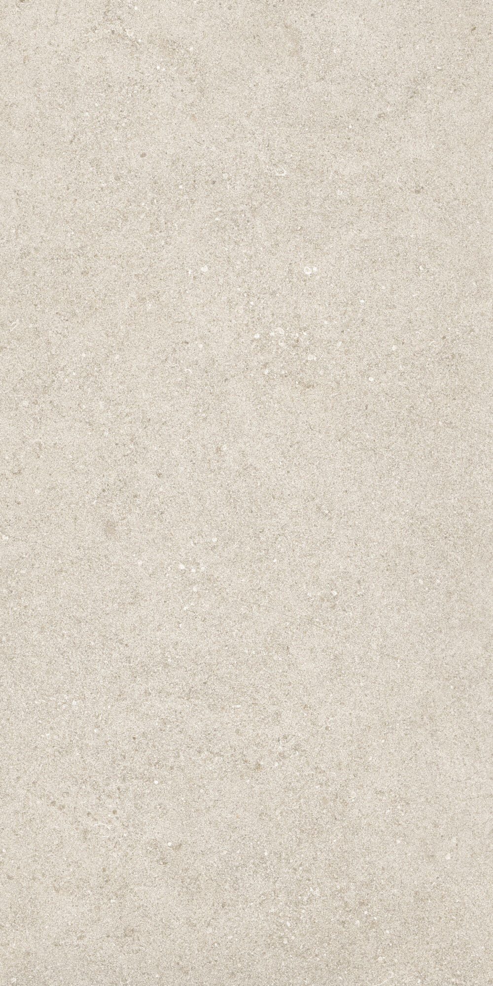 36902 Cluny Beige 4D/50X100X2/A/R 50x100 Peronda фото 11