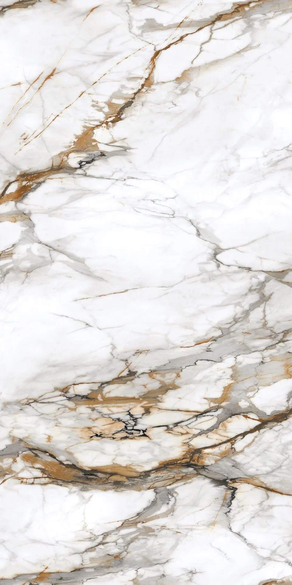 PT12P7081 Royal Marble Полированная 1200х600х9 Protiles фото 2