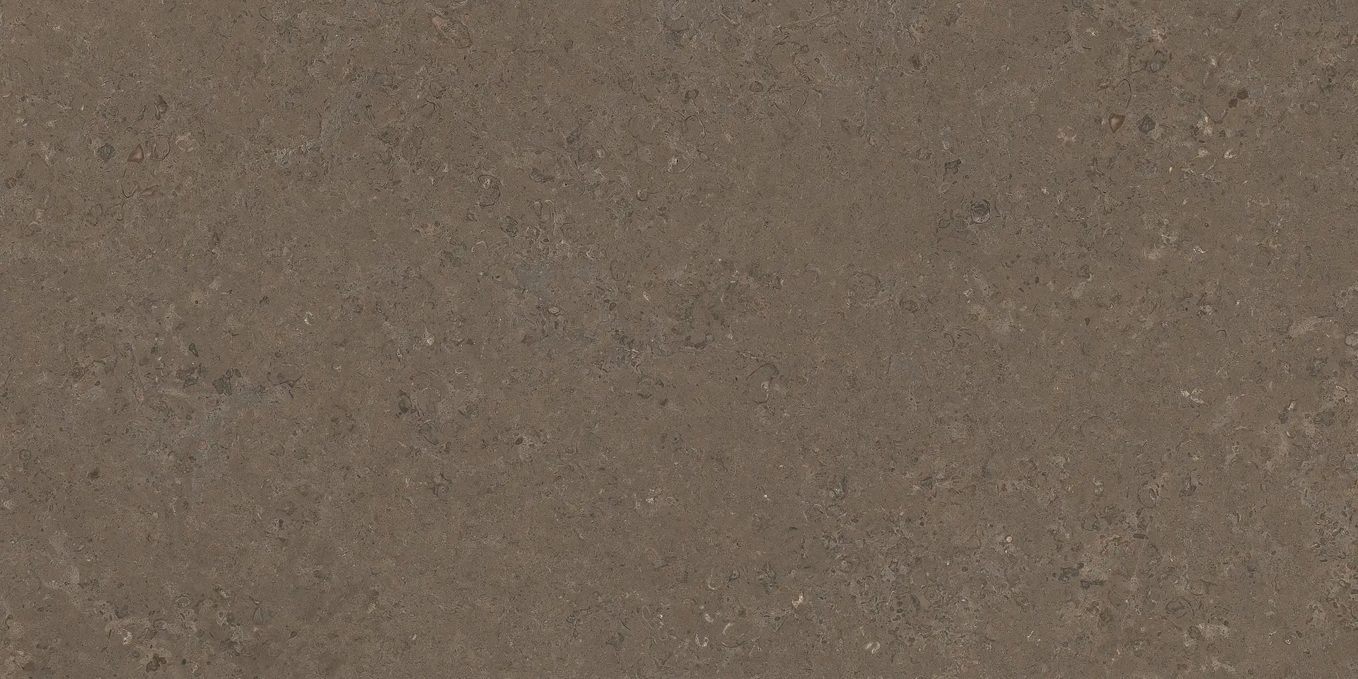 PF60020226 V Stone Brown Lap Rett 8.5mm 60x120 Versace (Gardenia Orchidea) фото 5