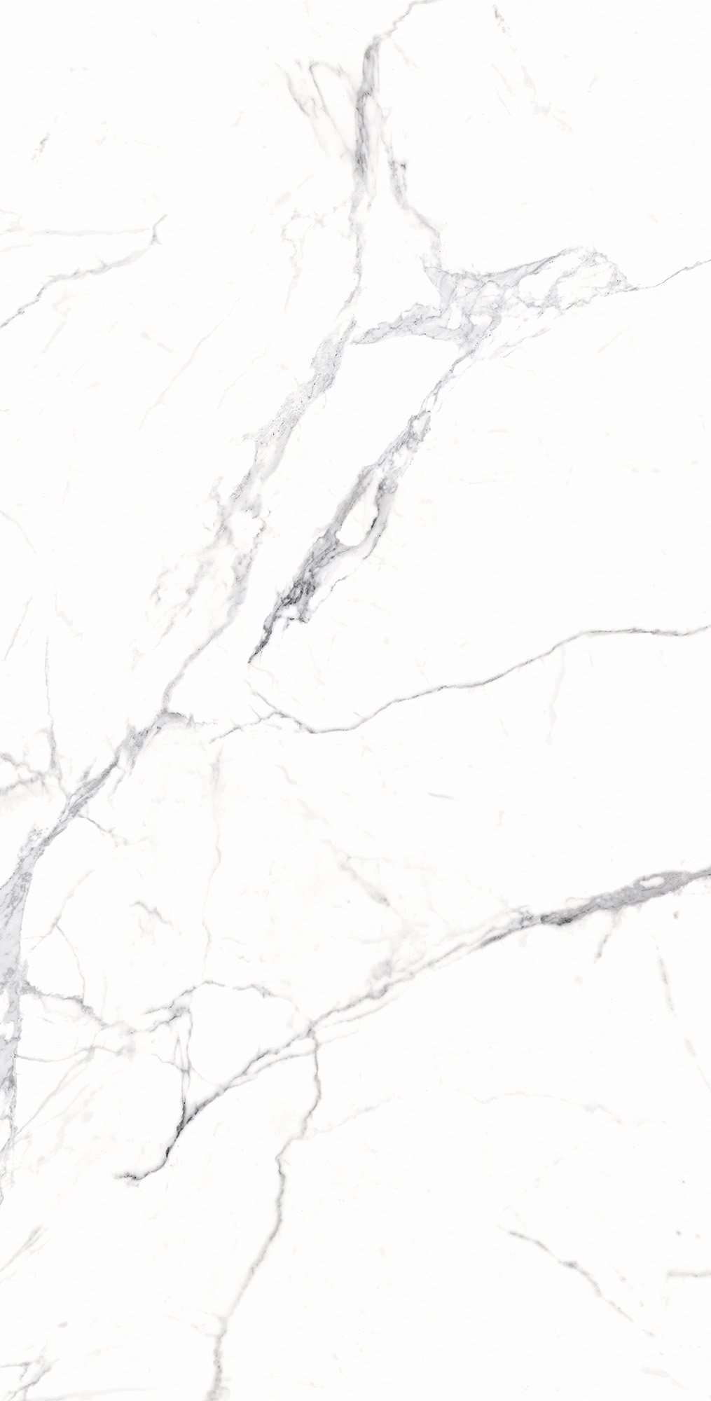 RT7018-A Carrara White Matt Rustic 60x120 Arcadia Ceramica