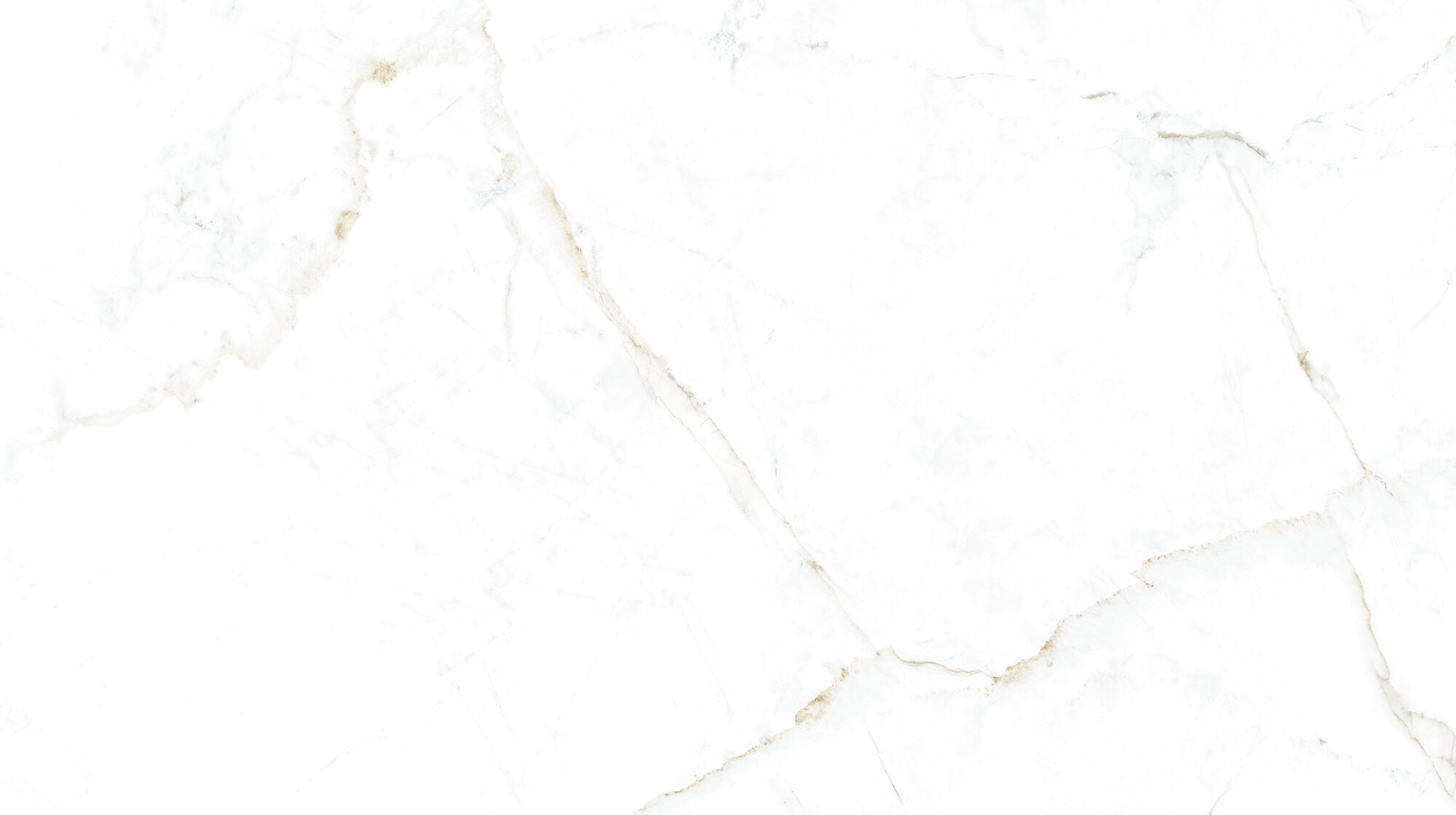 31745 Dual White/100X180/P 100х180 Peronda фото 10