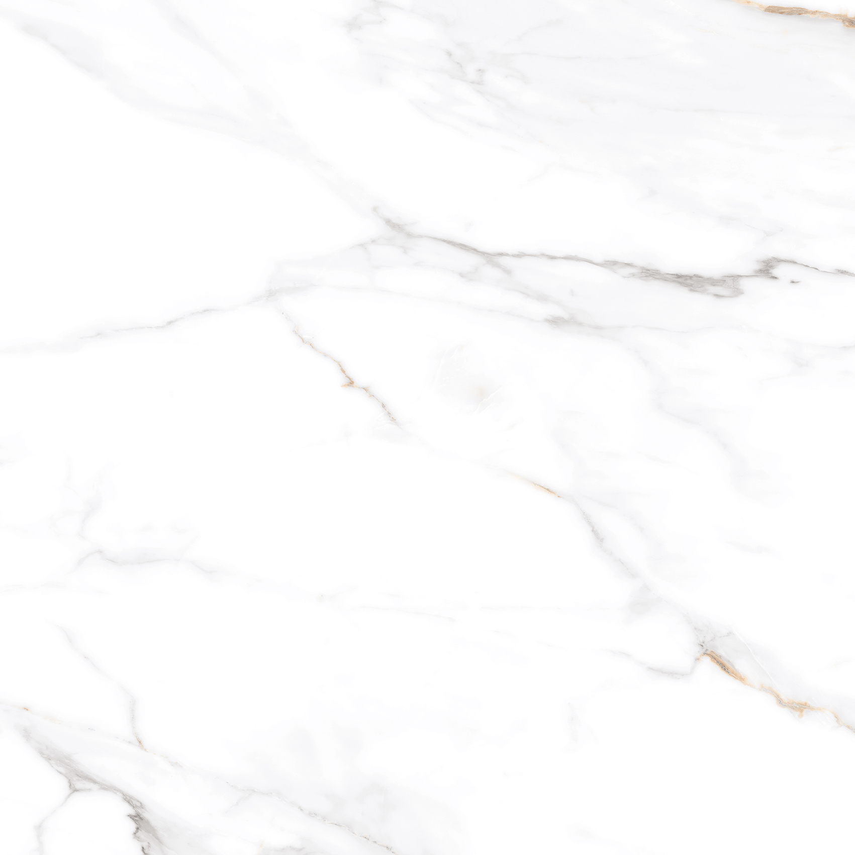 ETMAR1211MT6060 Calacatta Elite Matt 60x60 Eternal