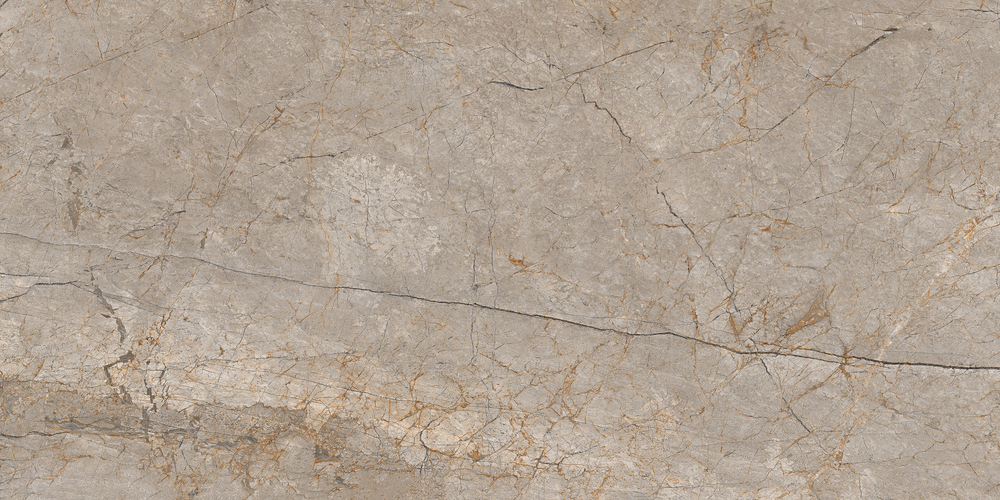 17124 Silver Roots серый матовый ректификат 60x120 Cersanit