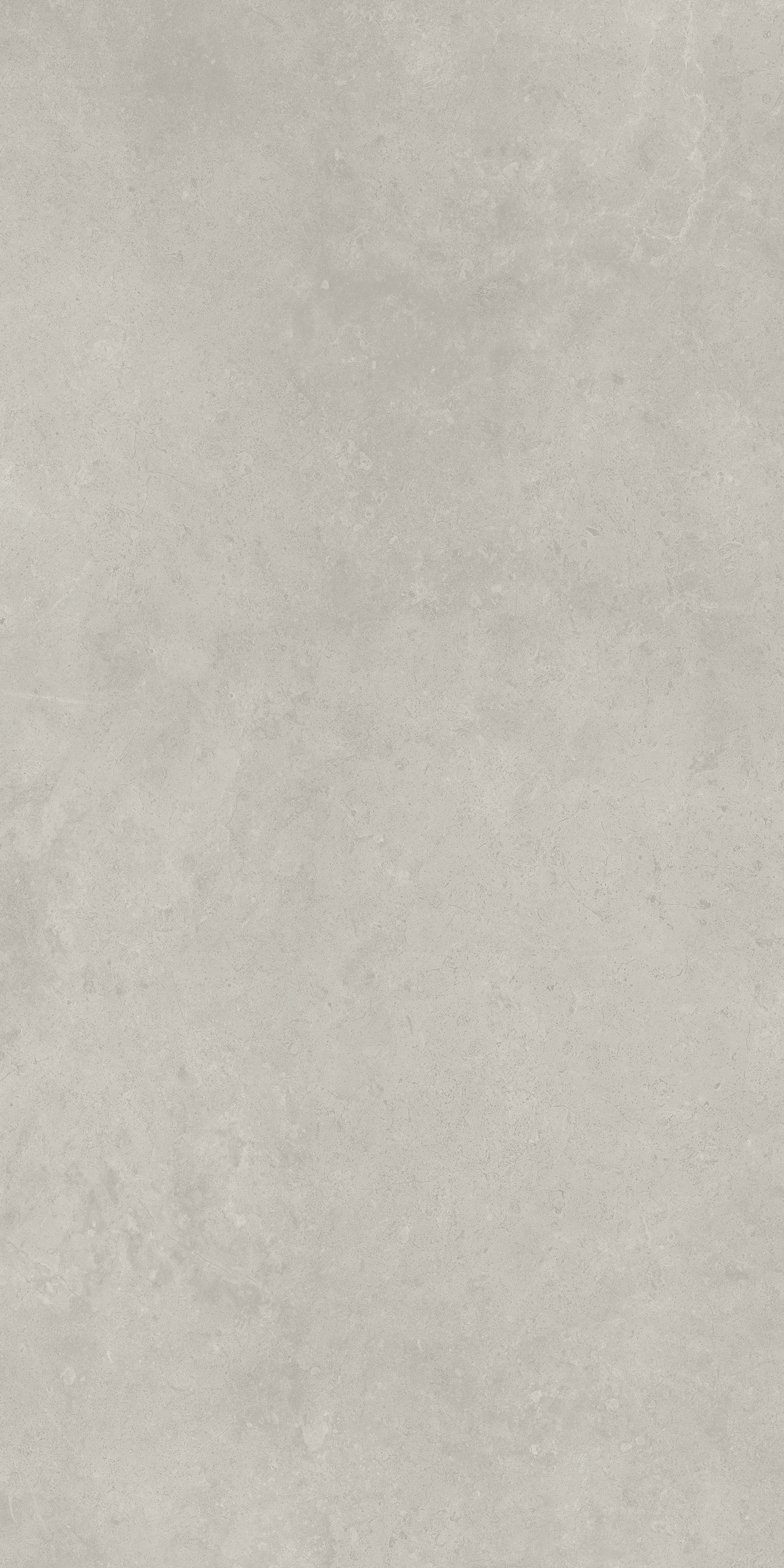 610010004099 Fossil Grey Nat Ret 60x120 Italon фото 3