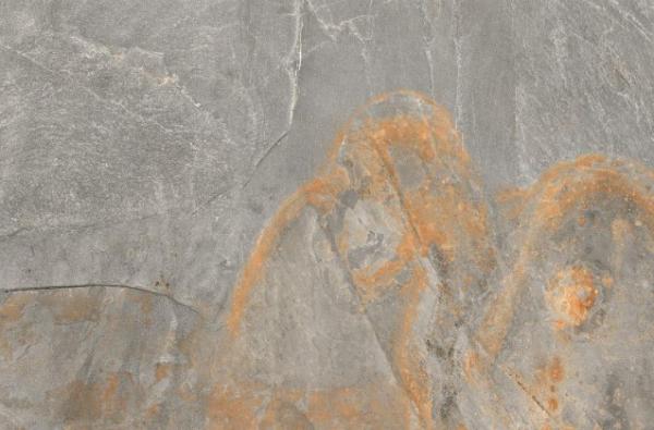 Ardesia Grey 60х90 Rino