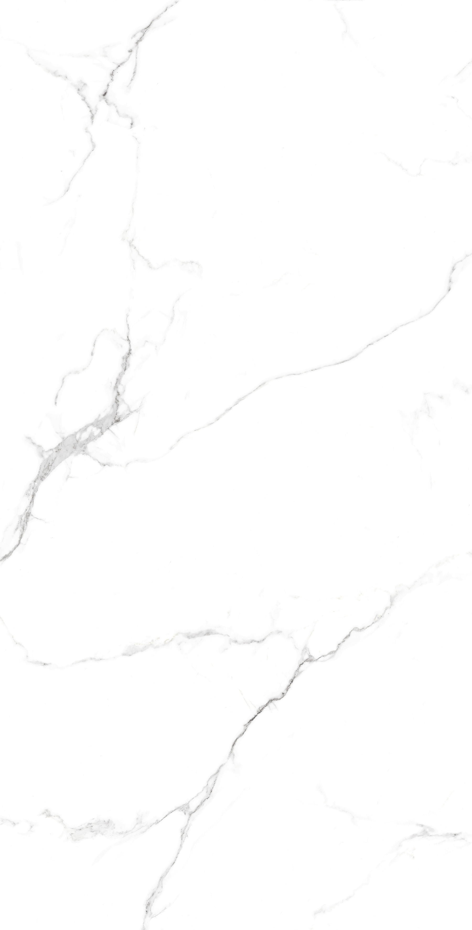 CP4005-A Statuario Fine Carving Pro 60x120 Creanza фото 5