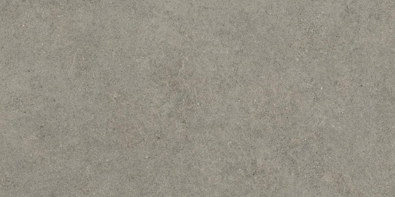 610010005821 Forte dei Marmi Rock Lunar Grey Matt Rett 60x120 Atlas Concorde Russia