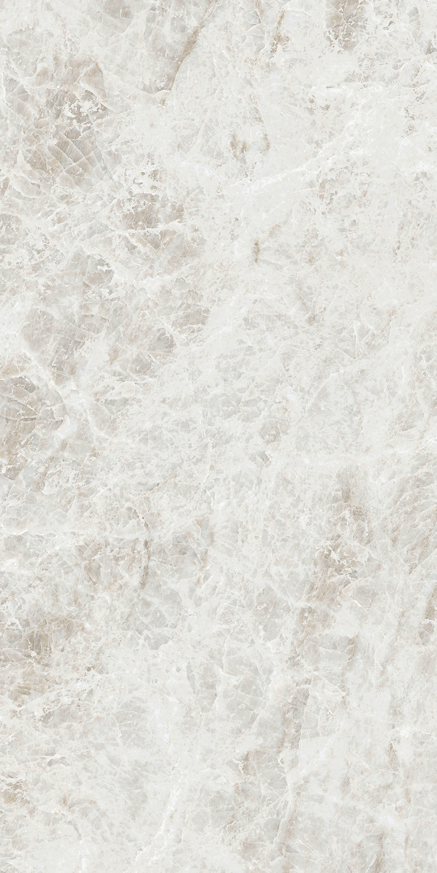 784553 Iconic Life Rice Yamuna Glossy 30x60 Cerim фото 4