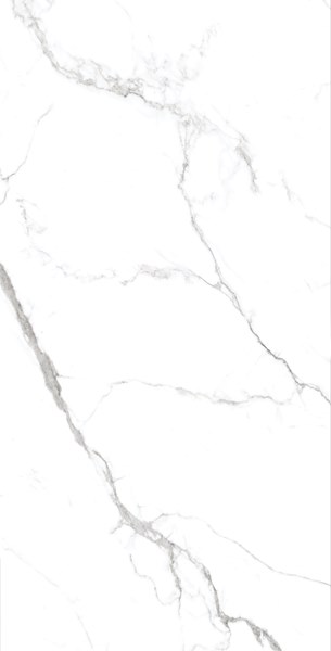 STATUARIO GRIS Glossy 60x120 One Touch