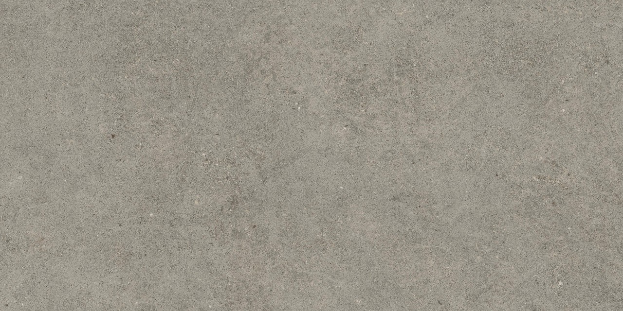 610010005821 Forte dei Marmi Rock Lunar Grey Matt Rett 60x120 Atlas Concorde Russia