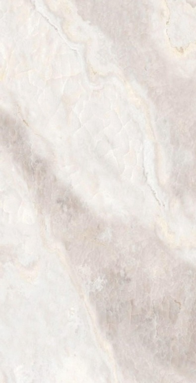 Onyx Clanton Rex pol. 60x120 Saans фото 5