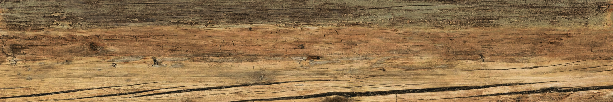 36330 Fs Wild AS/19,5X121,5/C/R 19.5x121.5 Peronda