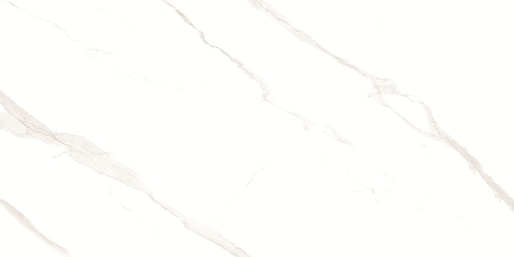 Pushkar White Matt 60x120 Duna