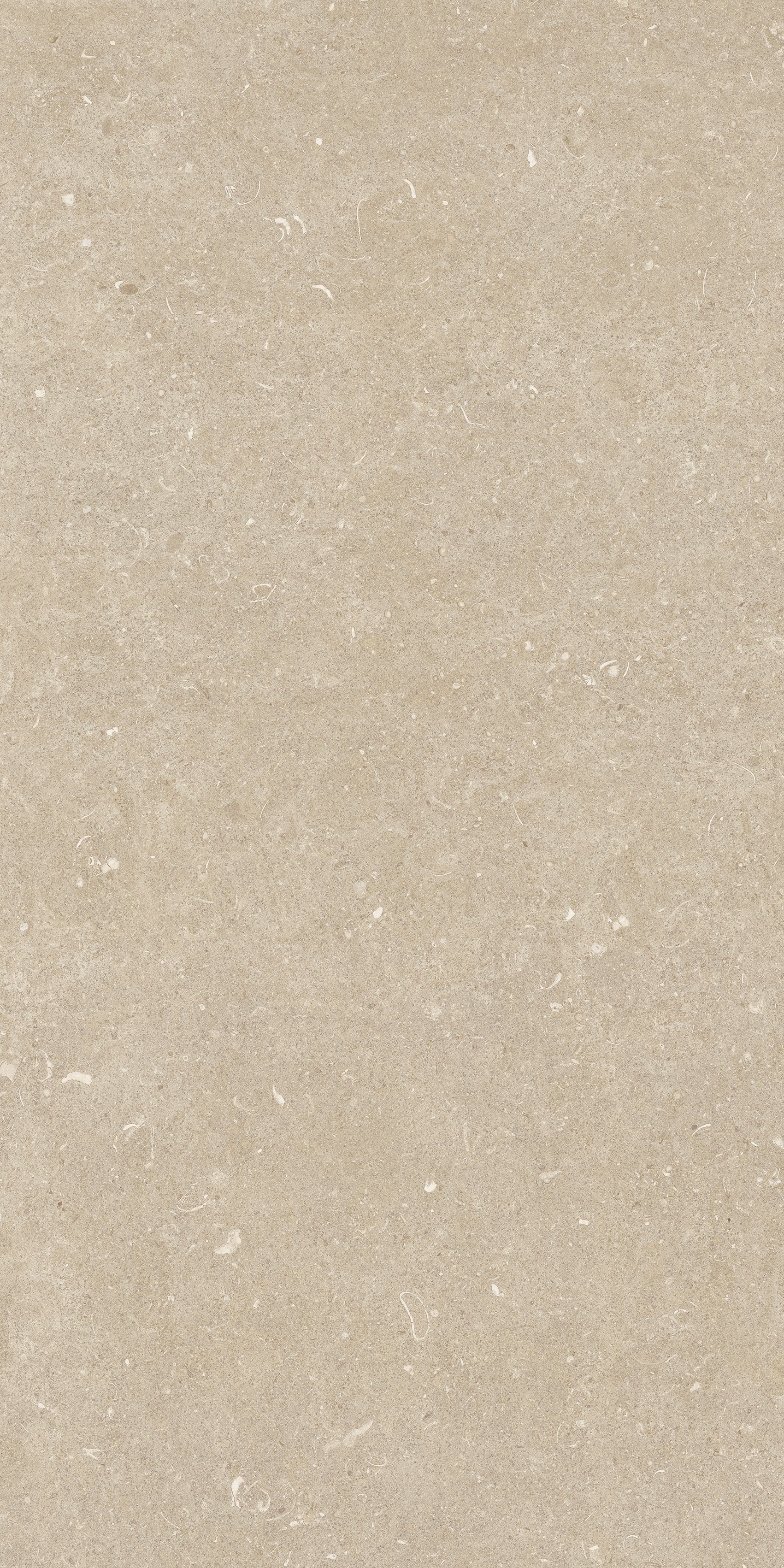 785493 Rinascenza Arena Conchiglia Grip 60x120 Casa Dolce Casa фото 2