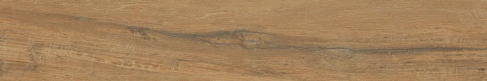 Leccio Oliato Ret 20x120 Serenissima Cir