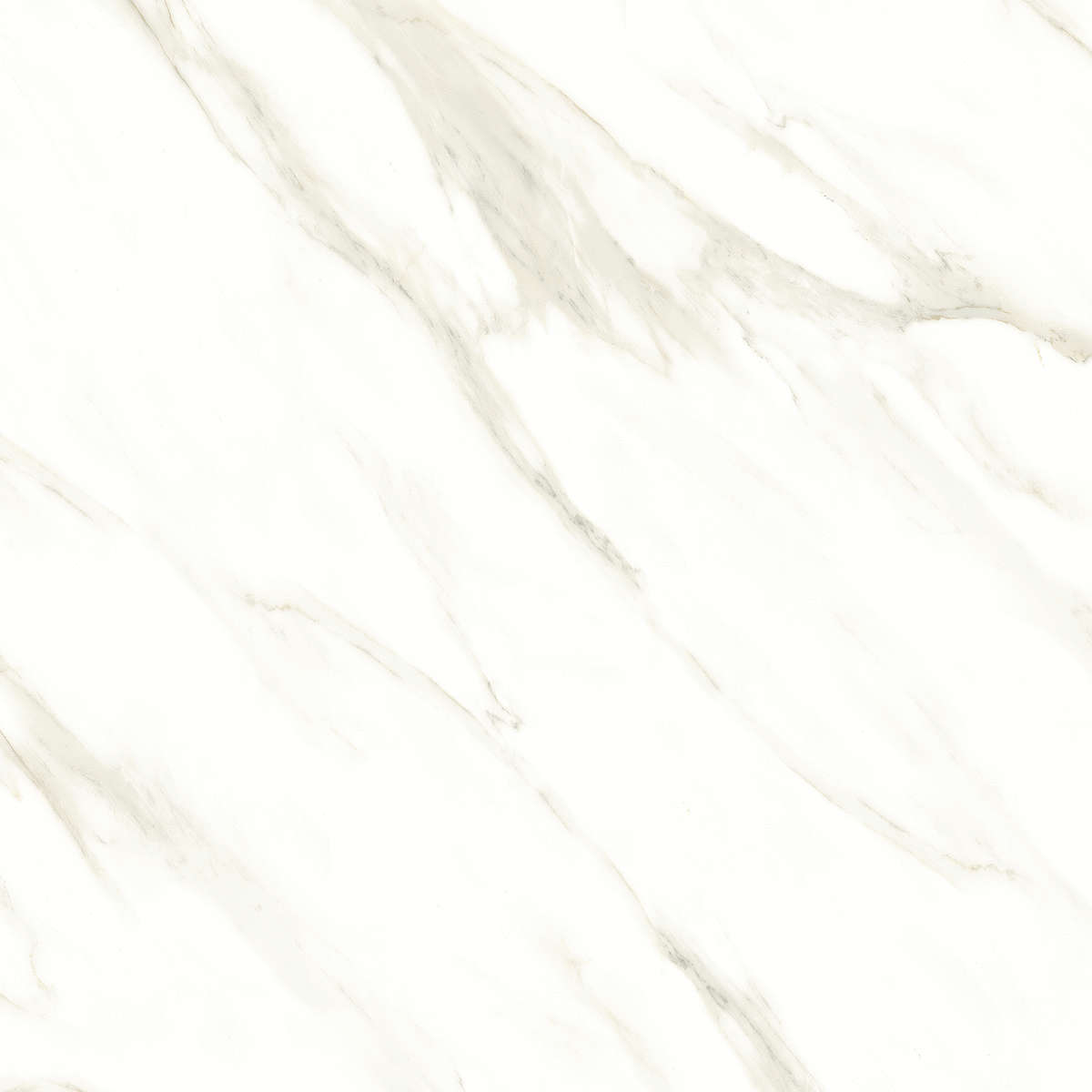Cassini carrara PGVT 60x60 Casati Ceramica