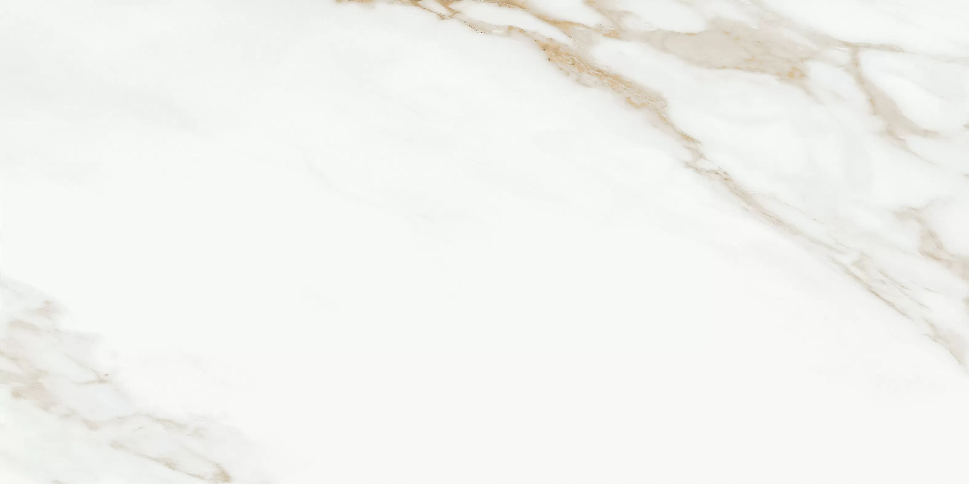 Oriental White 60x120 Bluezone фото 6