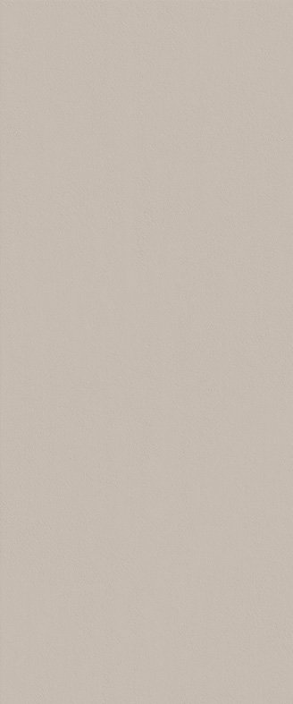 fTDU True Color Fossil Matt RT 50x120 FAP Ceramiche