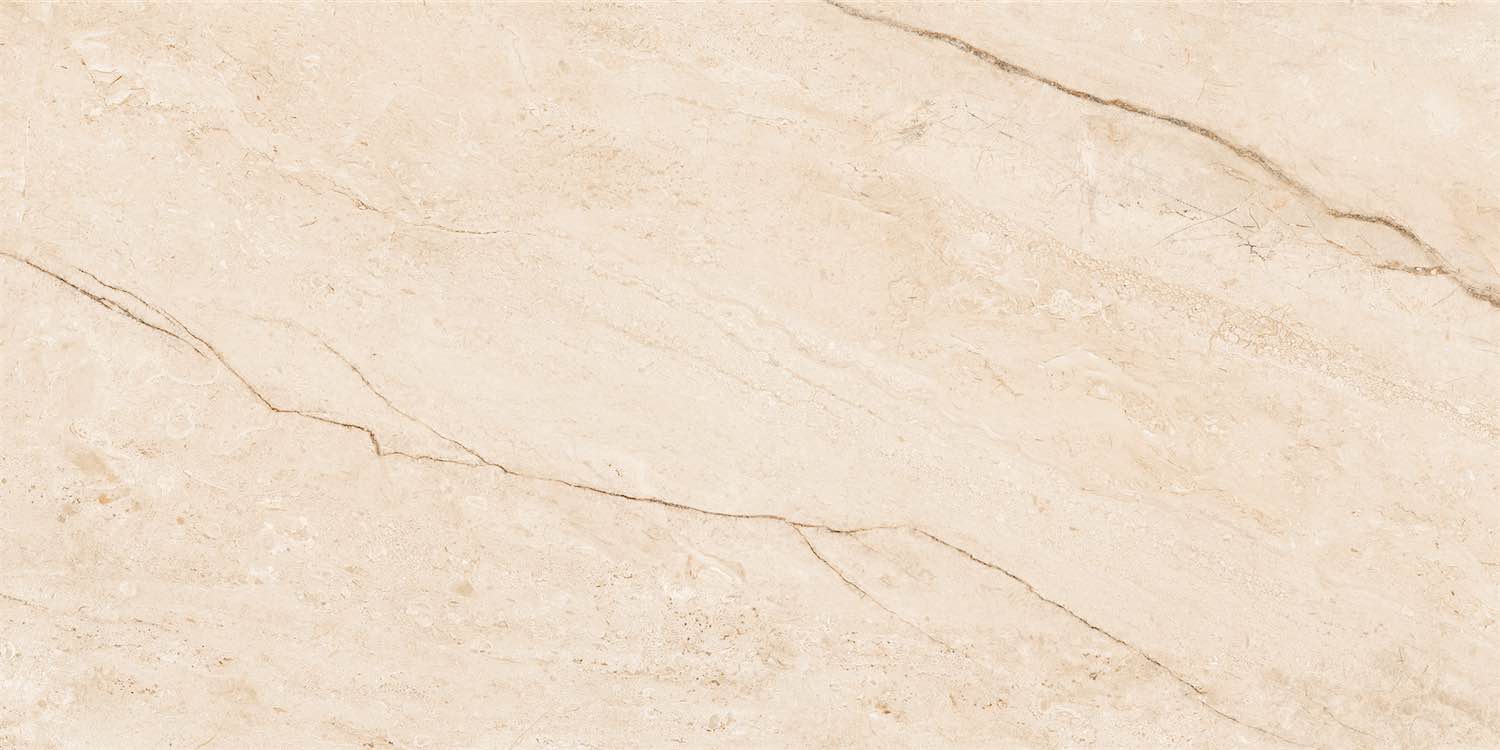 NTTHS99956D Barcelona Beige 60x120 NT Ceramic фото 7
