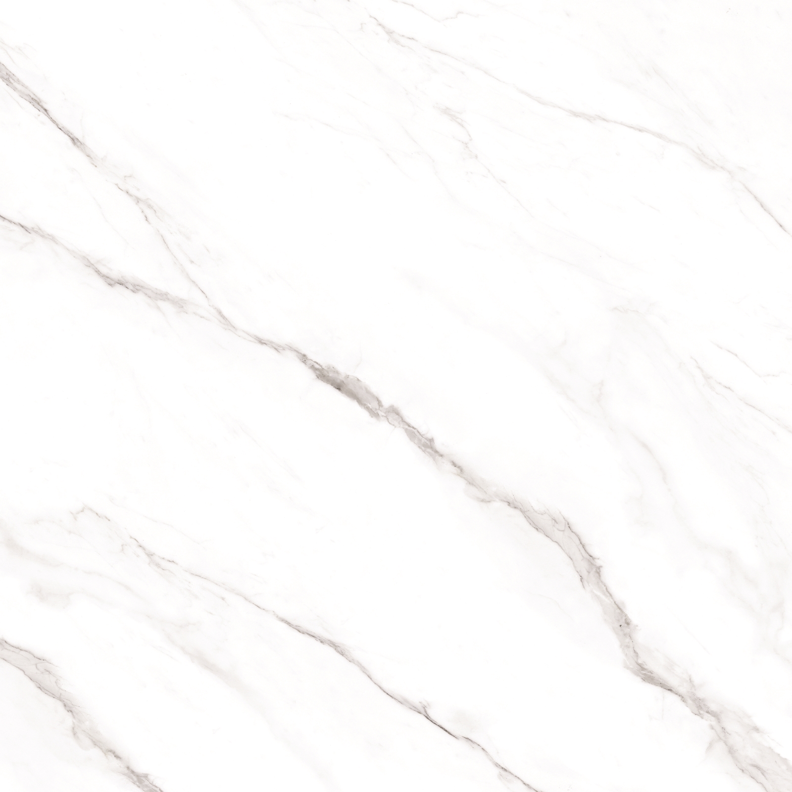 Statuario Alaska Glossy 80x80 Maimoon Ceramica