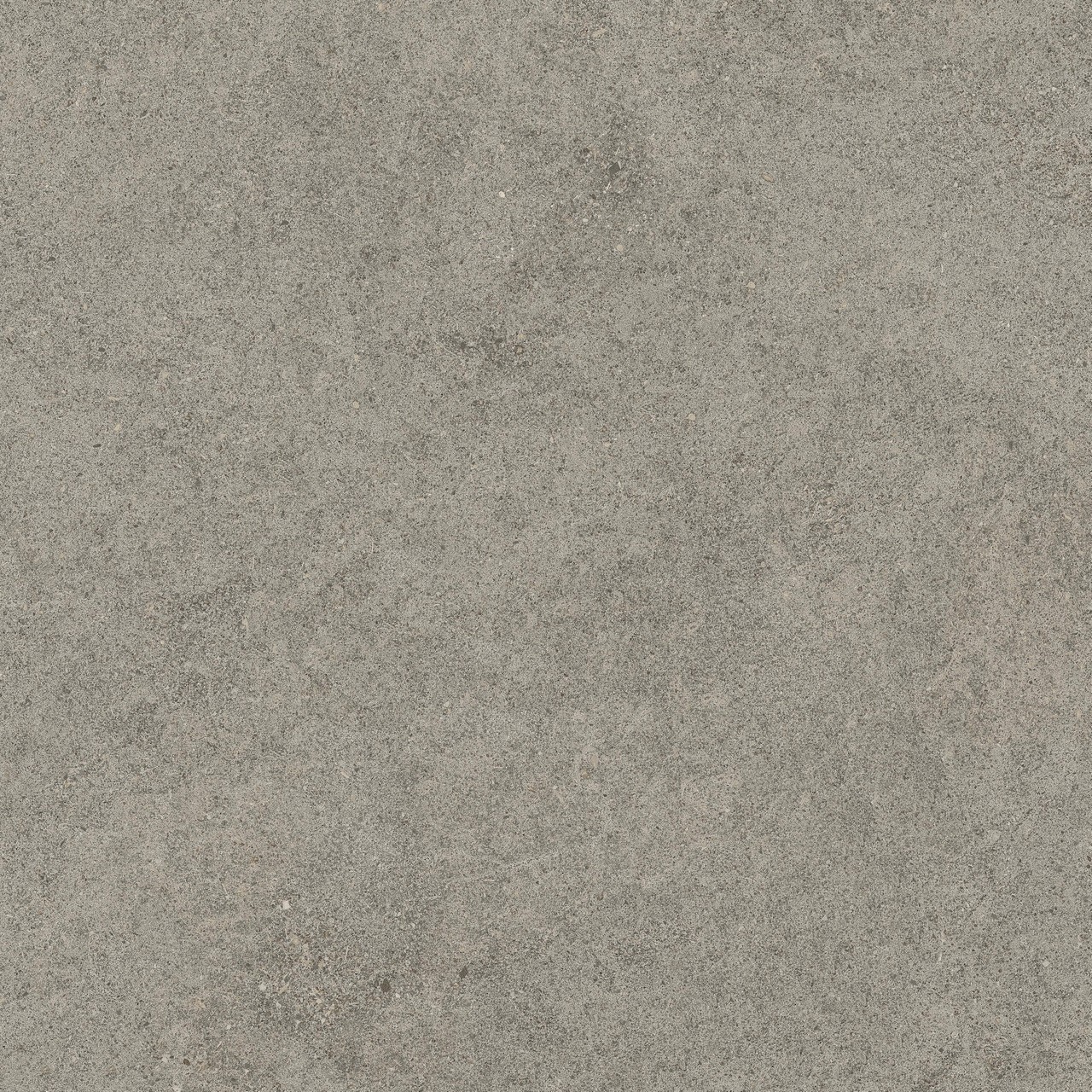 610010005836 Forte dei Marmi Rock Lunar Grey Lastra 20mm 60x60 Atlas Concorde Russia