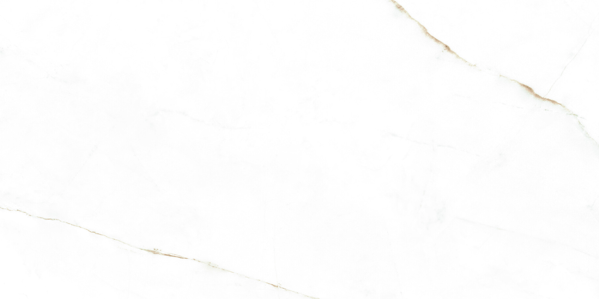 38712 Dual White NT/60X120X0,9/C/R 60x120 Peronda фото 23