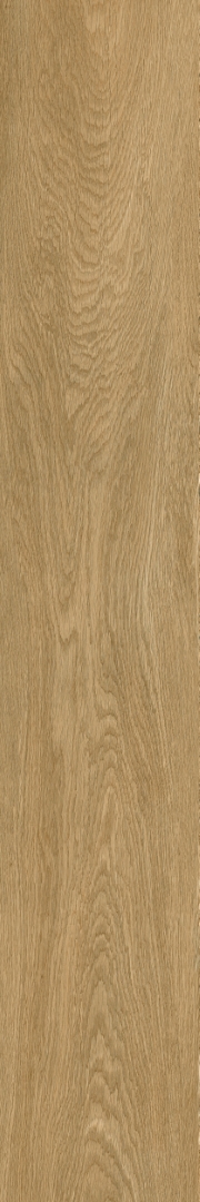 610010003503 Ducale Nut Ret 20х120 ColiseumGres