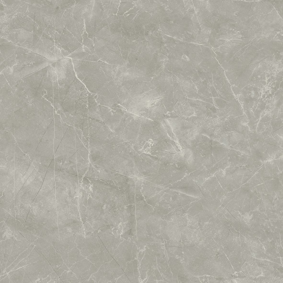 Wolf Grey 80х80 Laparet
