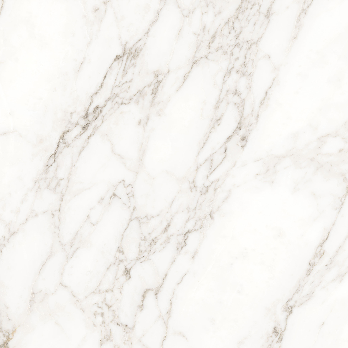 Carrara Immense Белый Полированный 80х80 Ceradim
