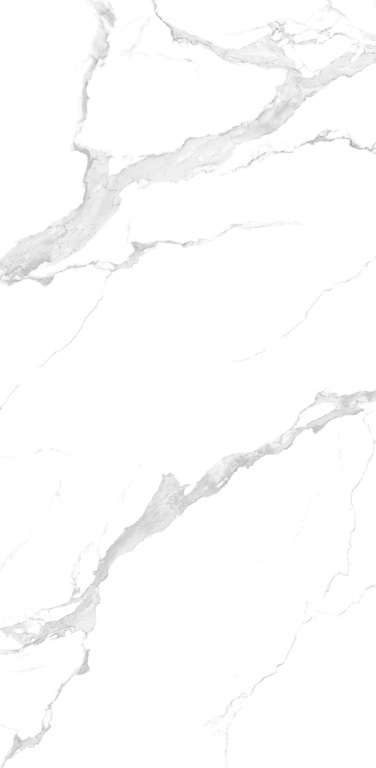 NTT3004P Bianco Carrara 120x240 NT Ceramic