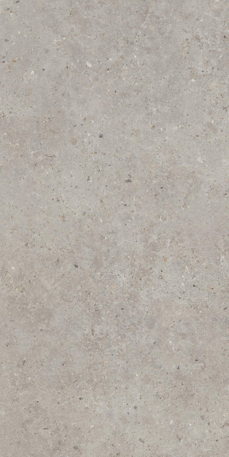 SG519920R Риккарди серый светлый матовый обрезной 60х119,5 Kerama Marazzi фото 5