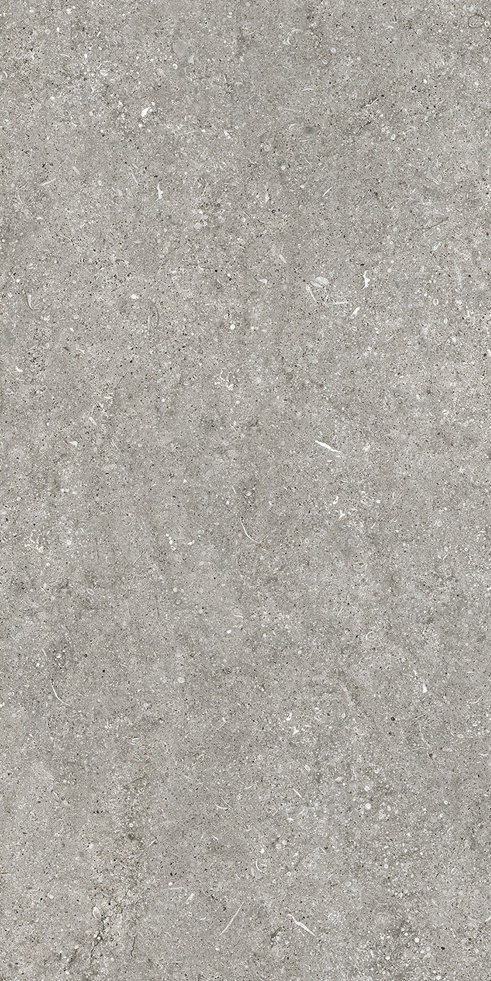 768621 Sensi Grey Fossil Nat Ret 6mm 60x120 Casa Dolce Casa