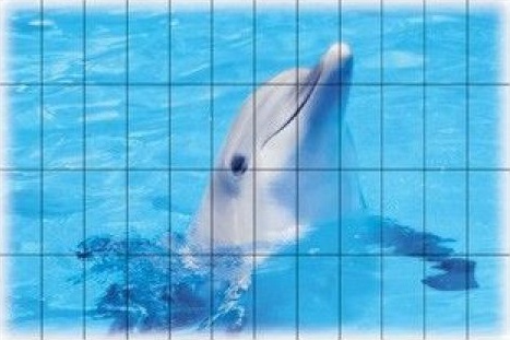 FS014 Fotosera F08 12,5х25 (150x100) Serapool