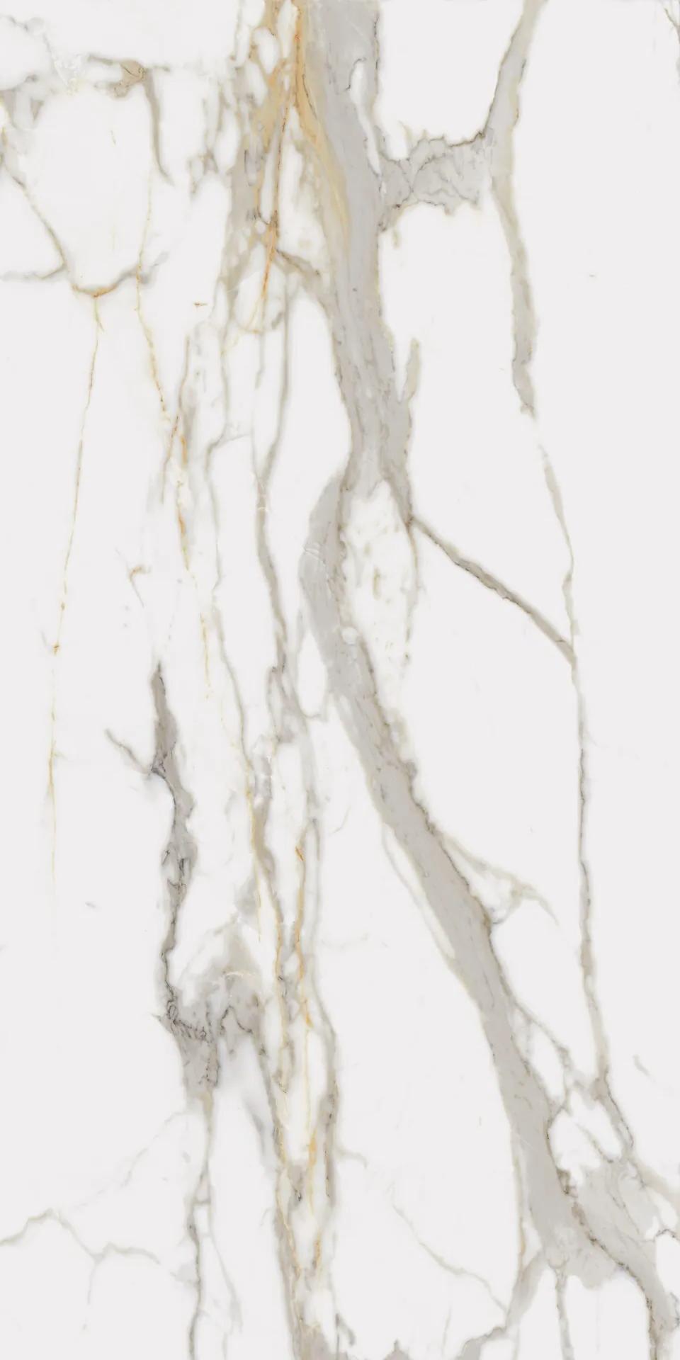 610010001683 Charme Evo Calacatta Nat Ret 80x160 Italon фото 6