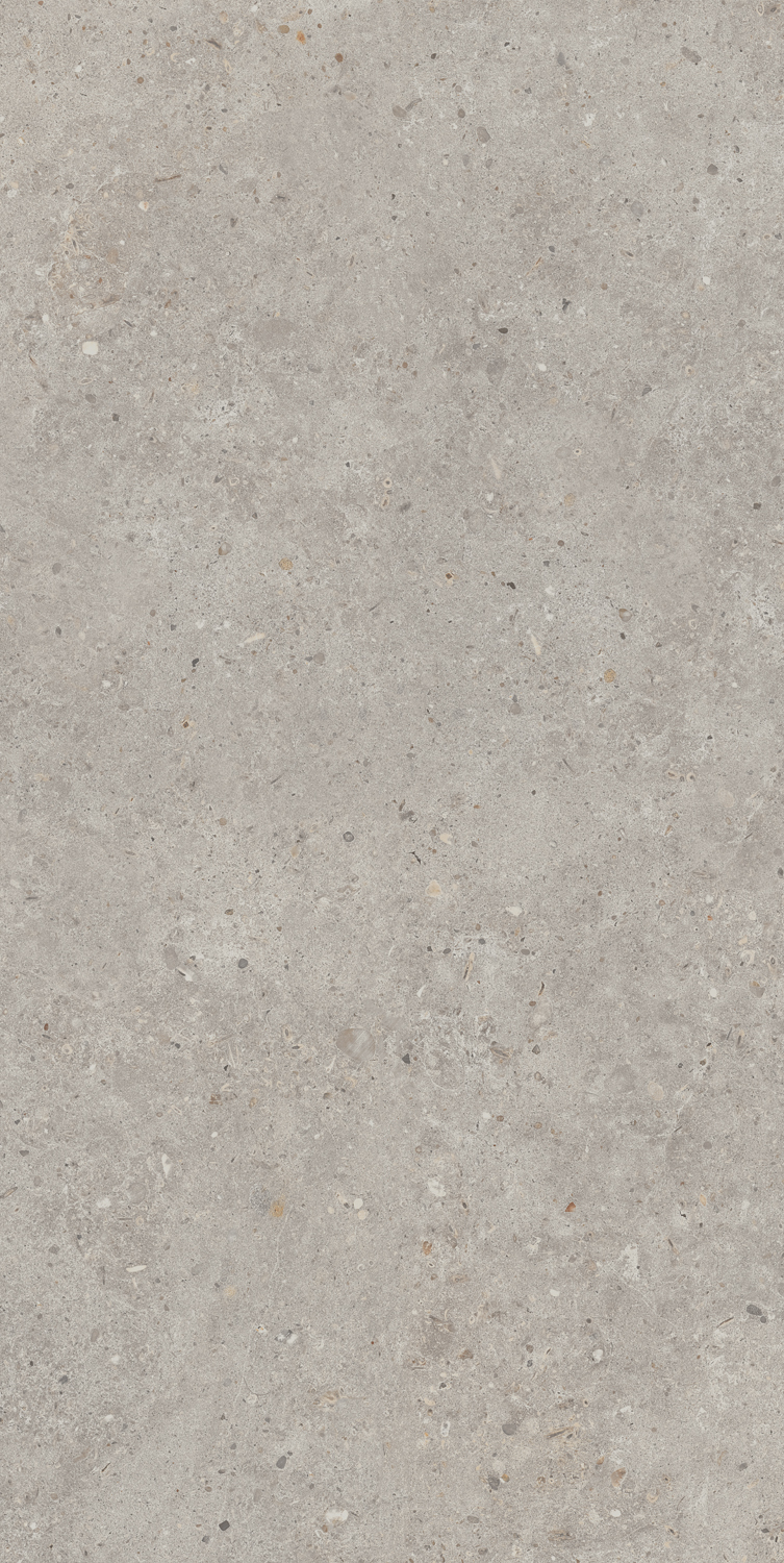 SG519920R Риккарди серый светлый матовый обрезной 60х119,5 Kerama Marazzi фото 2