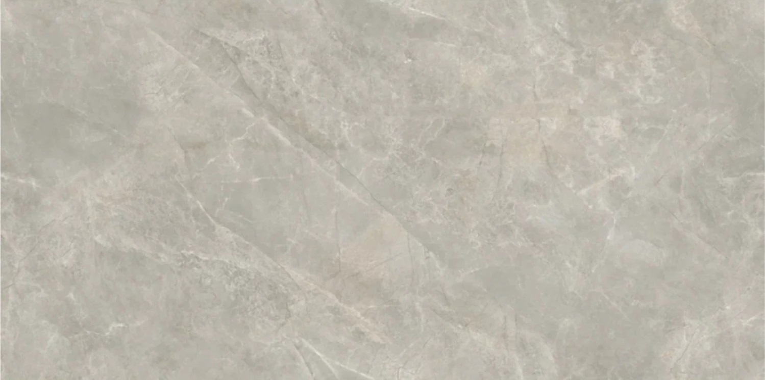 AS22-22 Clinker Gris 120х60 Avroria