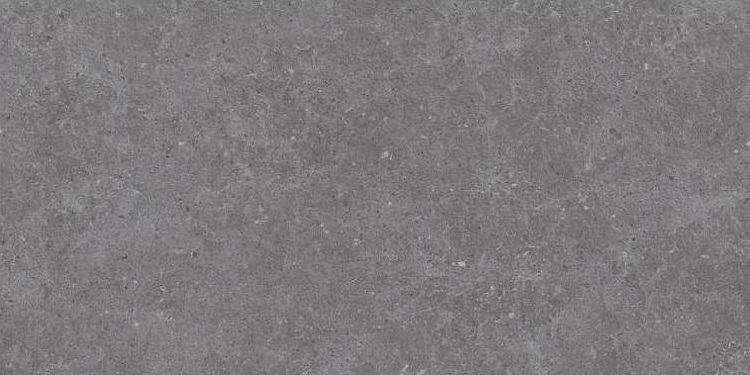 SE9550M35 Lasko Dark Gray Semi Polish Rect 60х120 Novin Ceram Yazd Tile Co