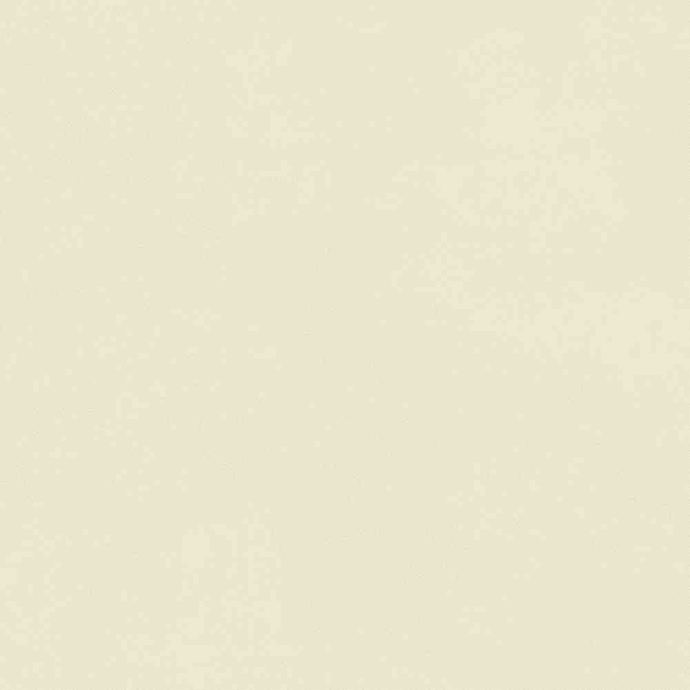 ENCLR6081MT2020 Corsica Beige Matt 200х200х8 Ennface фото 21