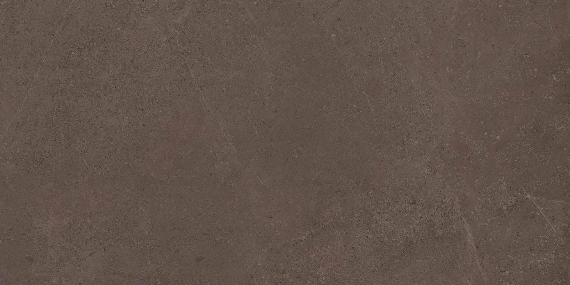 GO03 Gobi Brown Grey Неполированный Рект. 60x120x9 Estima фото 2