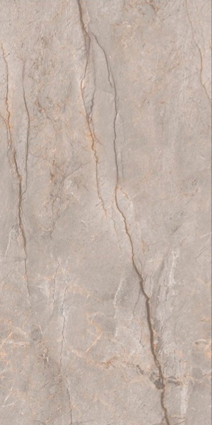 Monaco Grey carving 60x120 Leopard