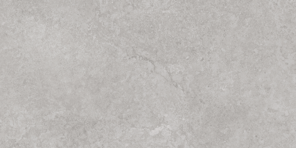 AVS-107 Antica Silver Lappato 600x1200 AVS фото 8