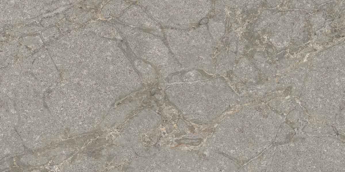 PF60011858 Supreme Memories Grey Soapstone Ant Ret 60x120 Flaviker