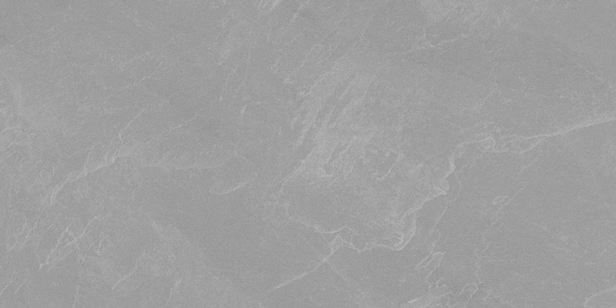 Archie Grey Pro серый матовый R10GR STR 60х120 Laparet