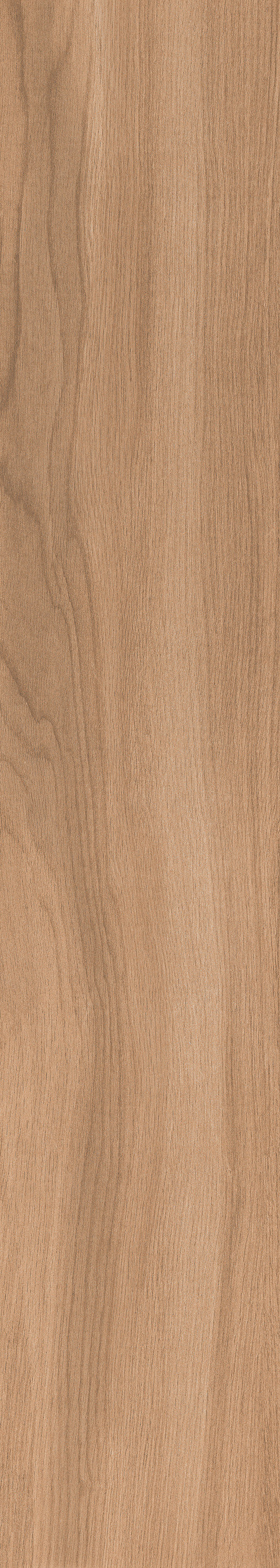 1057 Torino Brown Mate 120x20 Artcer