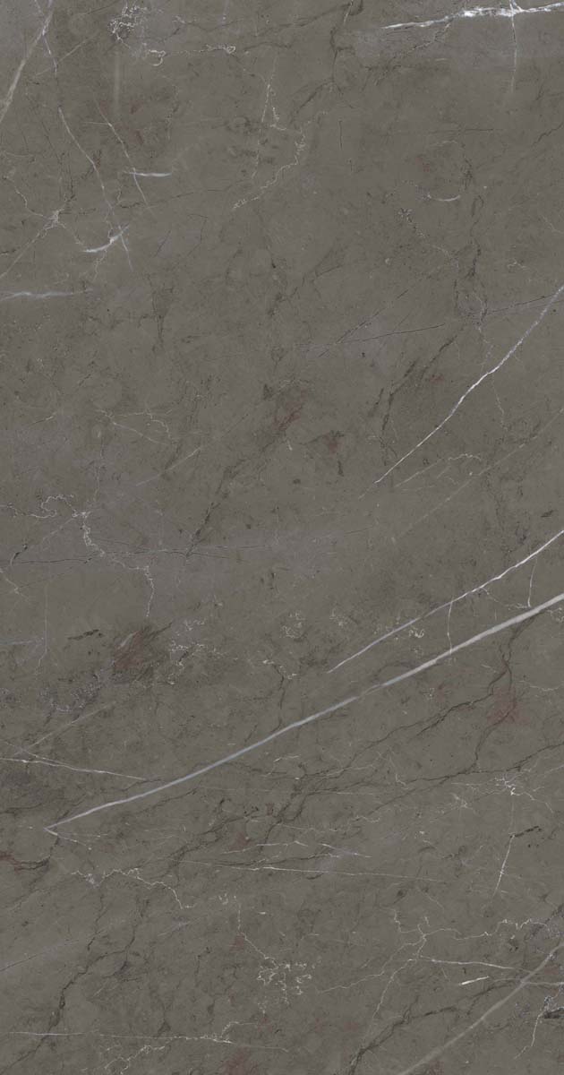 PF60006313 Stone Grey Lux R 60x120 ABK фото 9