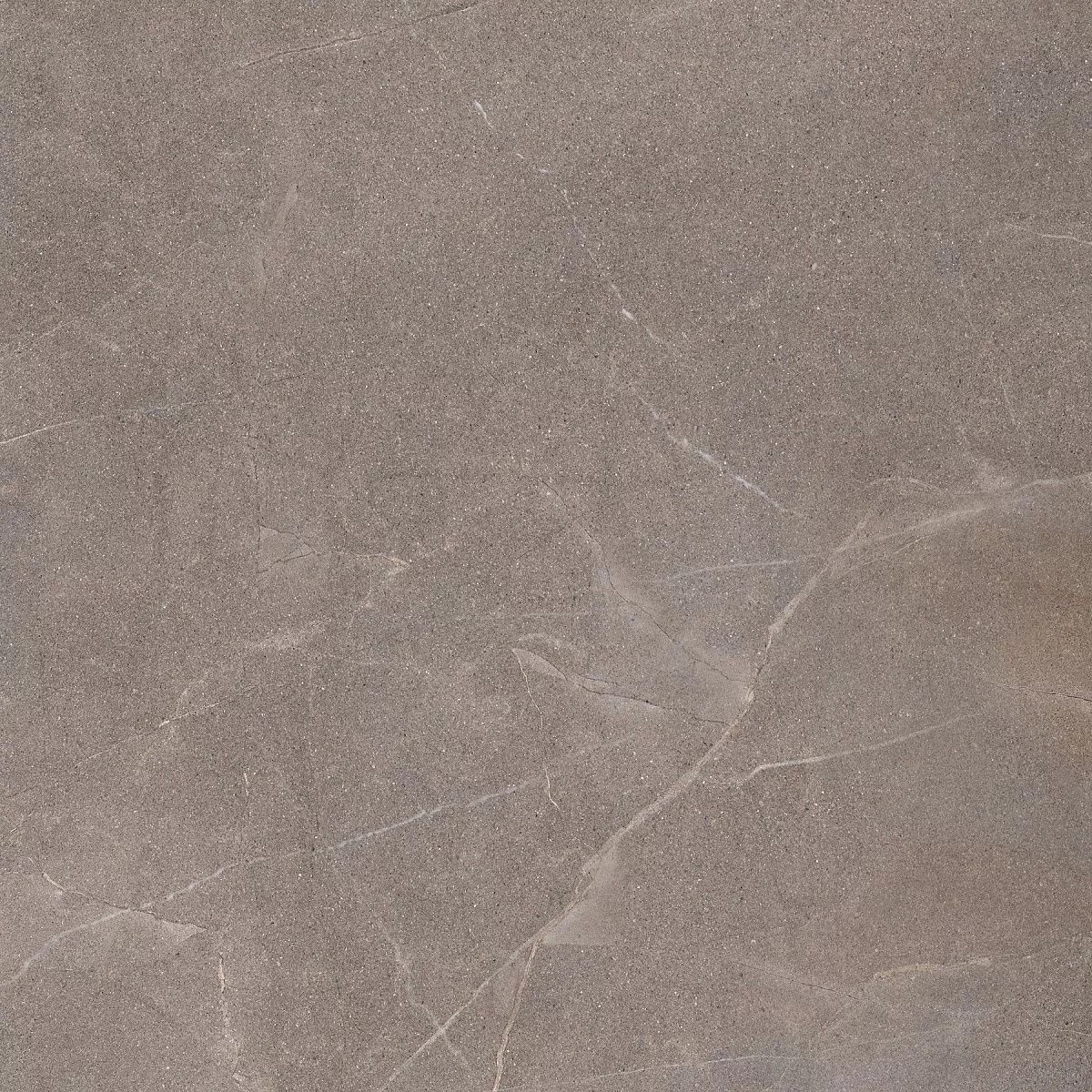 Pulpis Light Grey 60x60 Prime Ceramics
